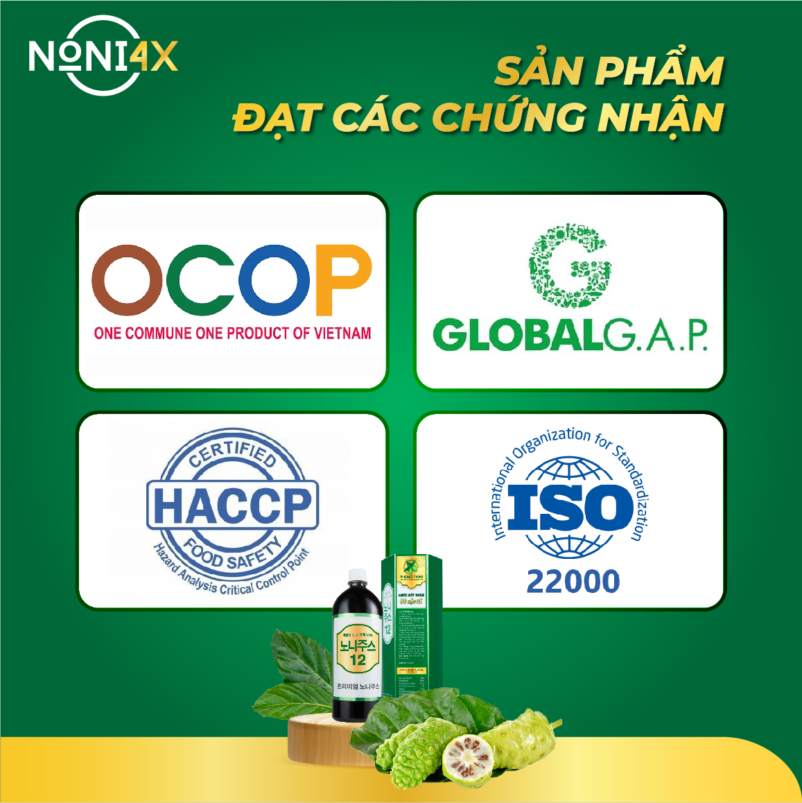 NƯỚC CỐT NHÀU CÔ ĐẶC 4X