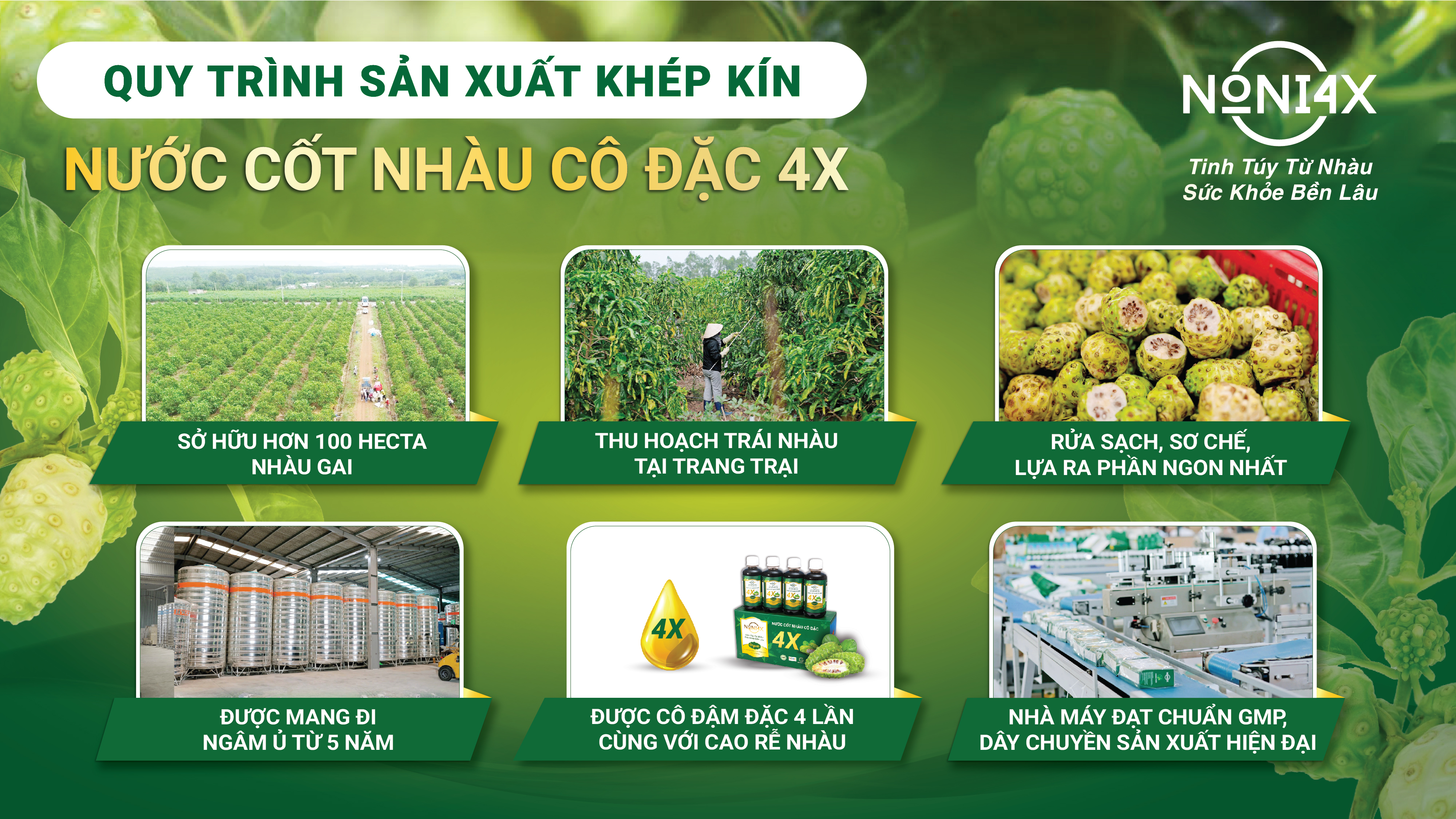 8 LỢI THẾ NONI4X