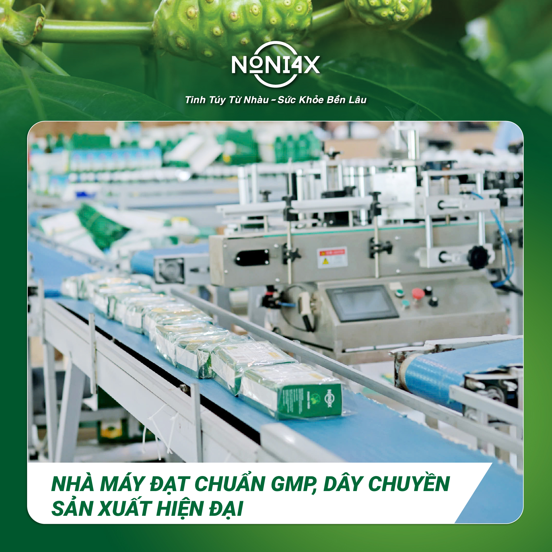 Nhà máy đạt chuẩn GMP, dây chuyền sản xuất hiện đại, đạt chuẩn ISO20000:2018