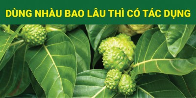 DÙNG NƯỚC CỐT NHÀU BAO LÂU THÌ CÓ TÁC DỤNG ?