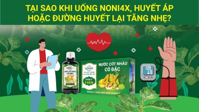 ❓TẠI SAO KHI MỚI UỐNG NONI4X, HUYẾT ÁP HOẶC ĐƯỜNG HUYẾT LẠI TĂNG NHẸ?