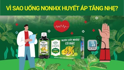 Vì Sao Uống Nước Cốt Nhàu NONI4X Huyết Áp Lại Tăng Nhẹ?