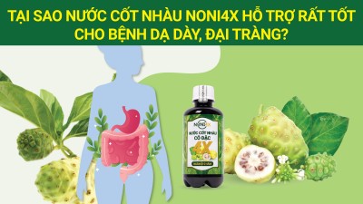 TẠI SAO NƯỚC CỐT NHÀU NONI4X HỖ TRỢ RẤT TỐT CHO BỆNH DẠ DÀY – ĐẠI TRÀNG?