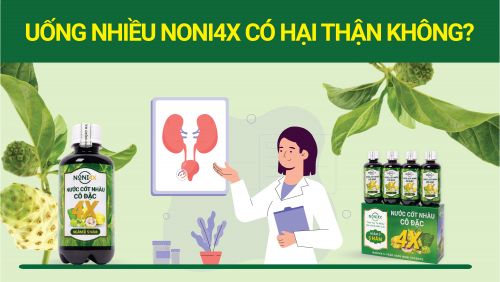 Uống Nhiều Nước Cốt Nhàu Cô Đặc NONI4X Có Hại Thận Không?