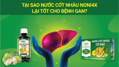 Tại sao nước cốt nhàu Noni4X lại tốt cho bệnh gan?