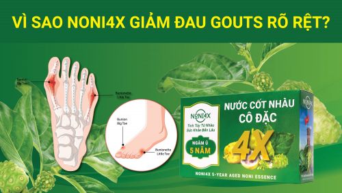 TẠI SAO NƯỚC CỐT NHÀU CÔ ĐẶC 4X LẠI HỖ TRỢ HIỆU QUẢ CHO BỆNH GOUTS?