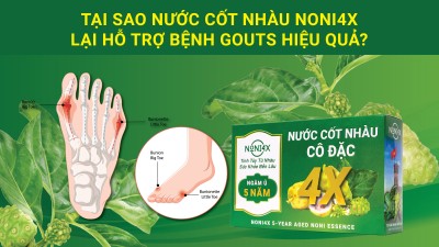 Tại Sao Nước Cốt Nhàu Noni4X Lại Hỗ Trợ Bệnh Gouts Hiệu Quả?