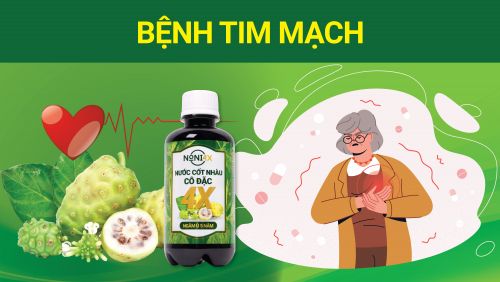Bệnh TIM MẠCH và phản ứng của Noni4x c