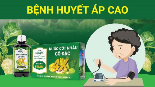 Bệnh CAO HUYẾT ÁP và phản ứng của Noni4x có thể xảy ra