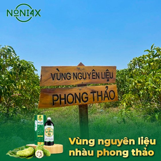 Vùng trồng nhàu 100% organic hơn 70 hecta