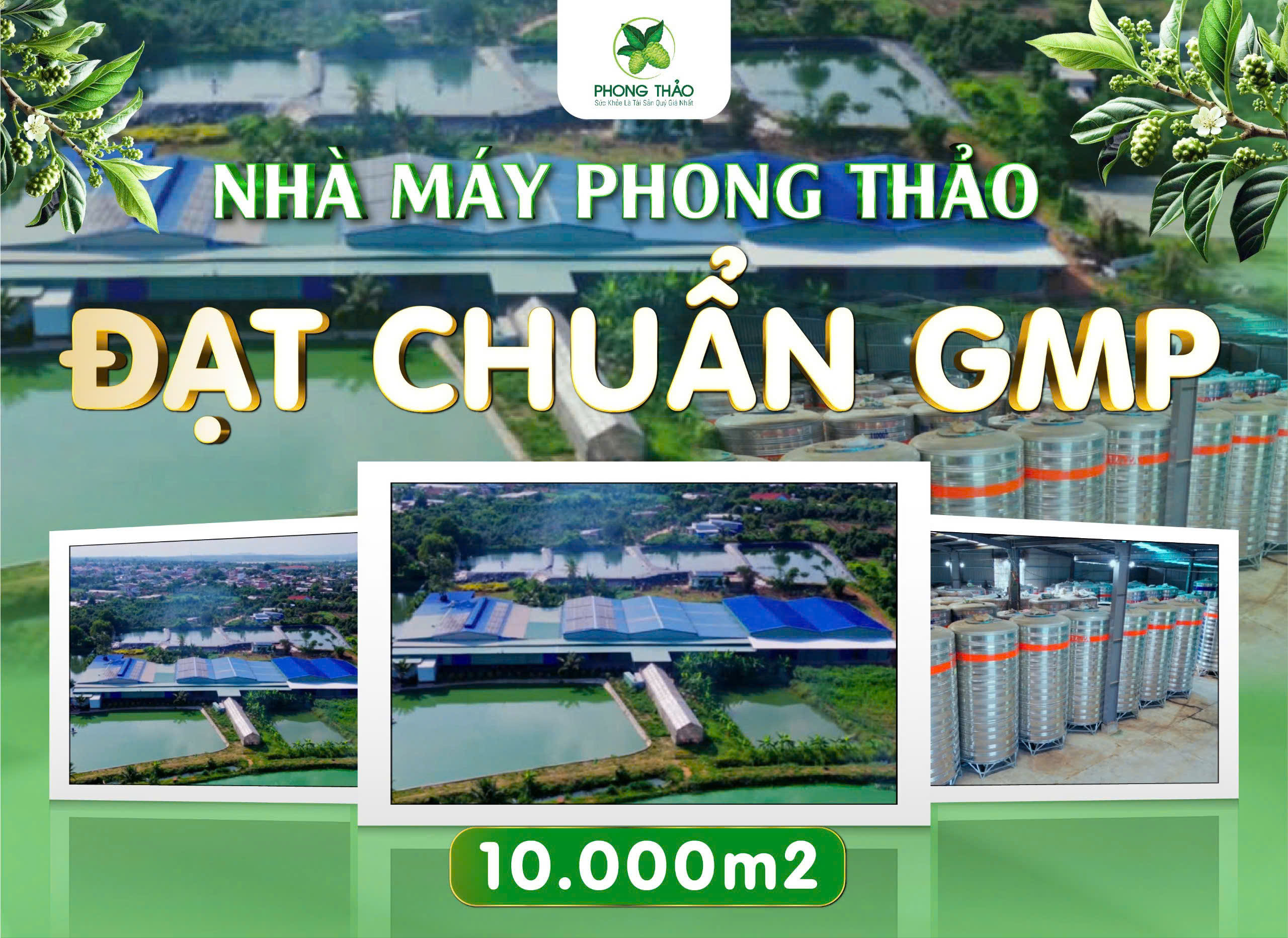 NHÀ MÁY PHONG THẢO