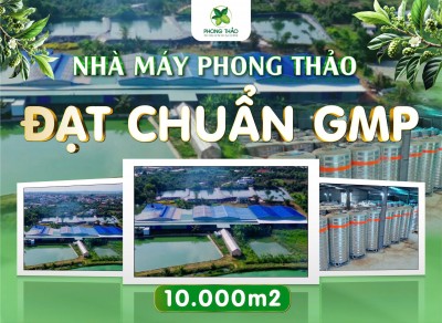 GIỚI THIỆU VỀ CÔNG TY DƯỢC LIỆU PHONG THẢO