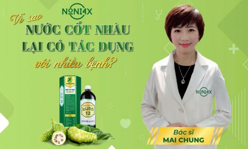 Vì sao nước cốt nhàu lại có tác dụng với nhiều bệnh